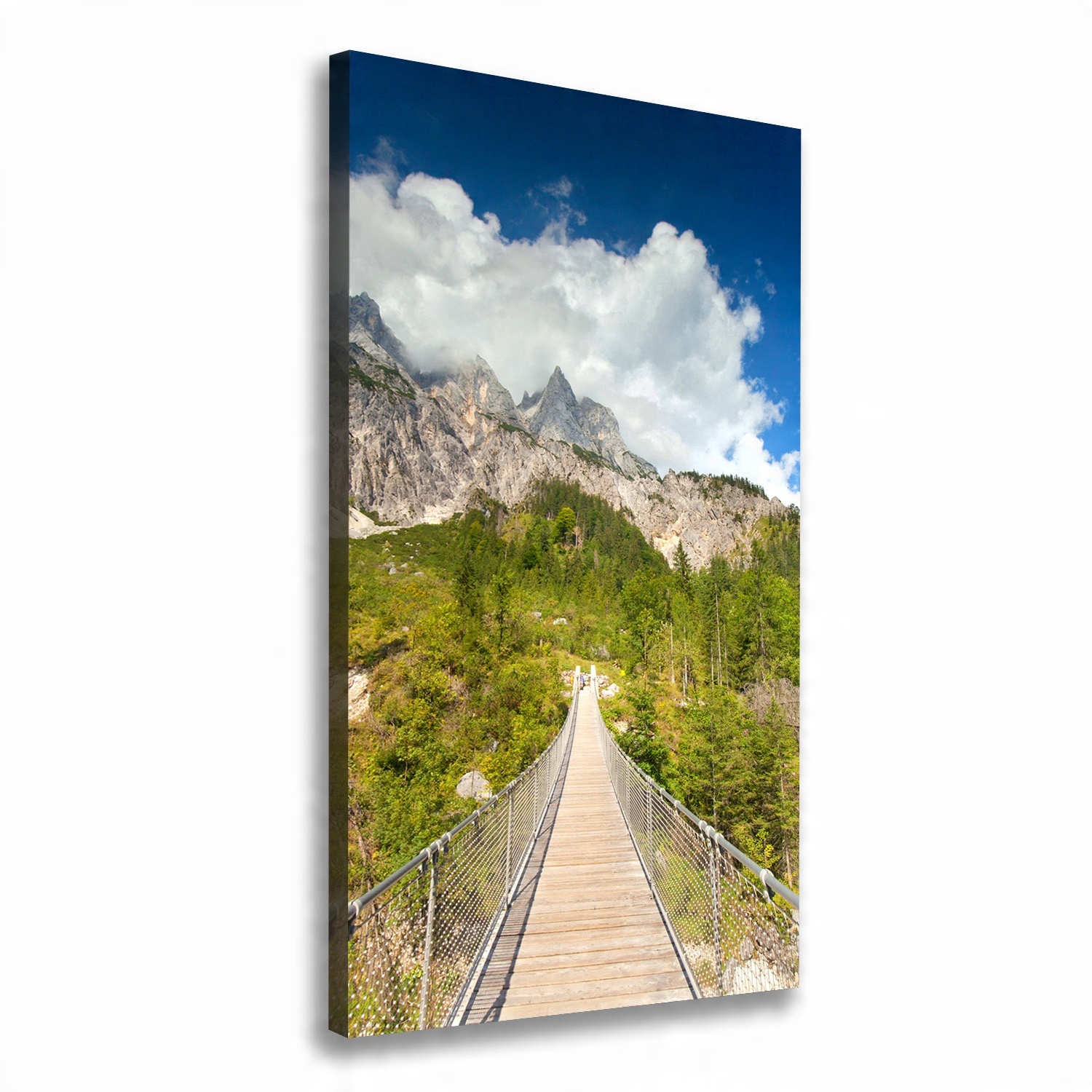

Foto obraz canvas do salonu Most wiszący 60x120