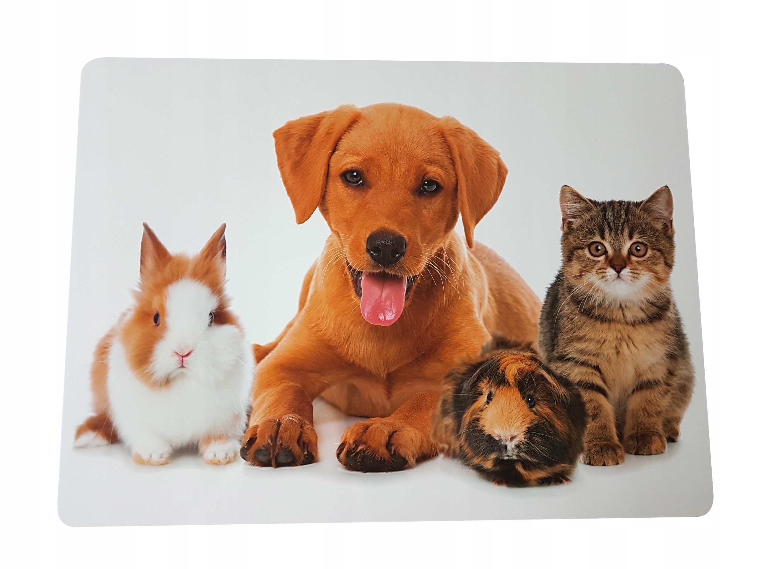 PODKŁADKA NA STÓŁ DLA DZIECI PIES KOT ZWIERZAKI