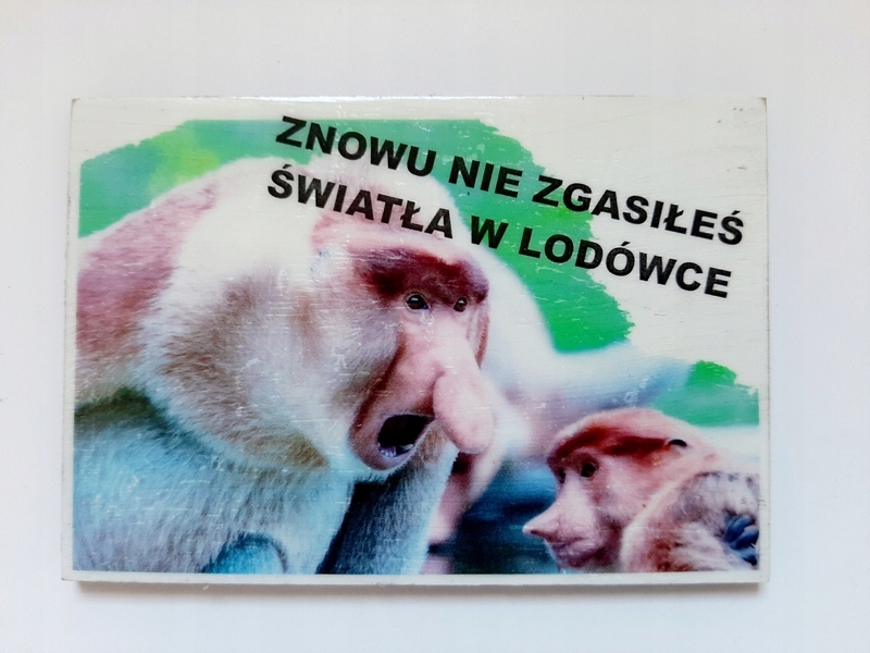 

Janusz Nosacz drewniany magnes światło w lodówce