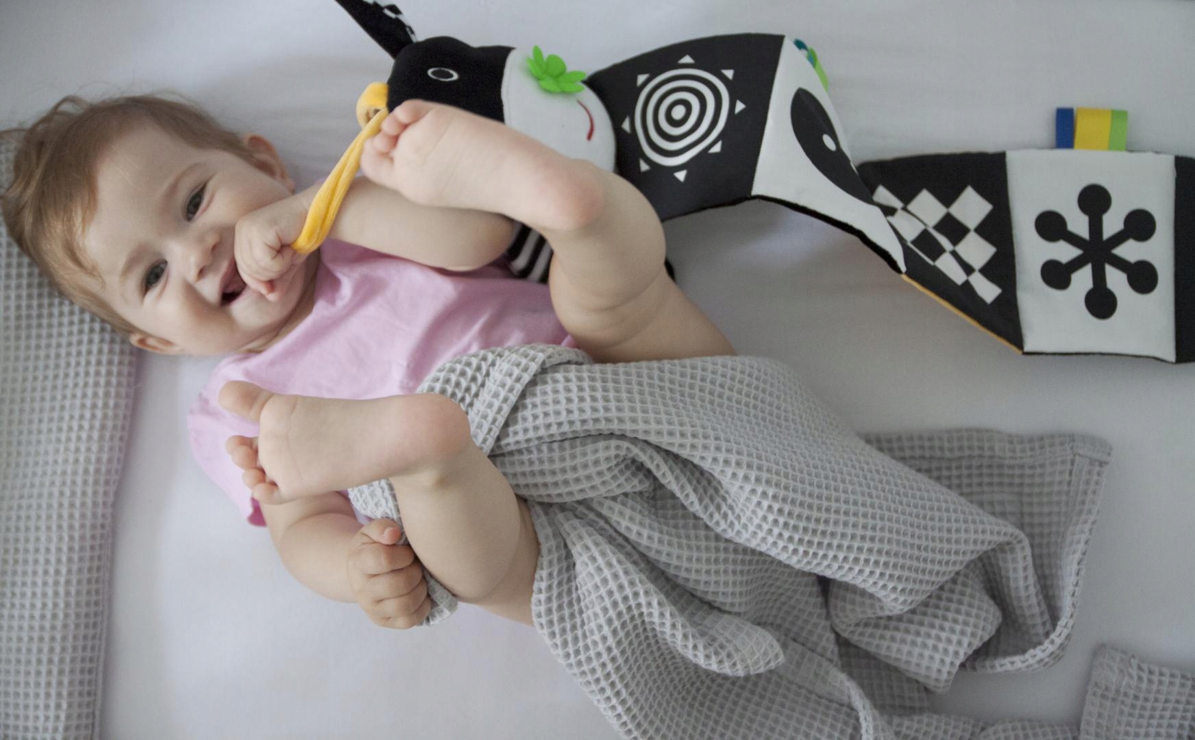 KSIĄŻECZKA DO ŁÓŻECZKA KRÓWECZKA 613 MOM'S CARE EAN (GTIN) 5907784466136