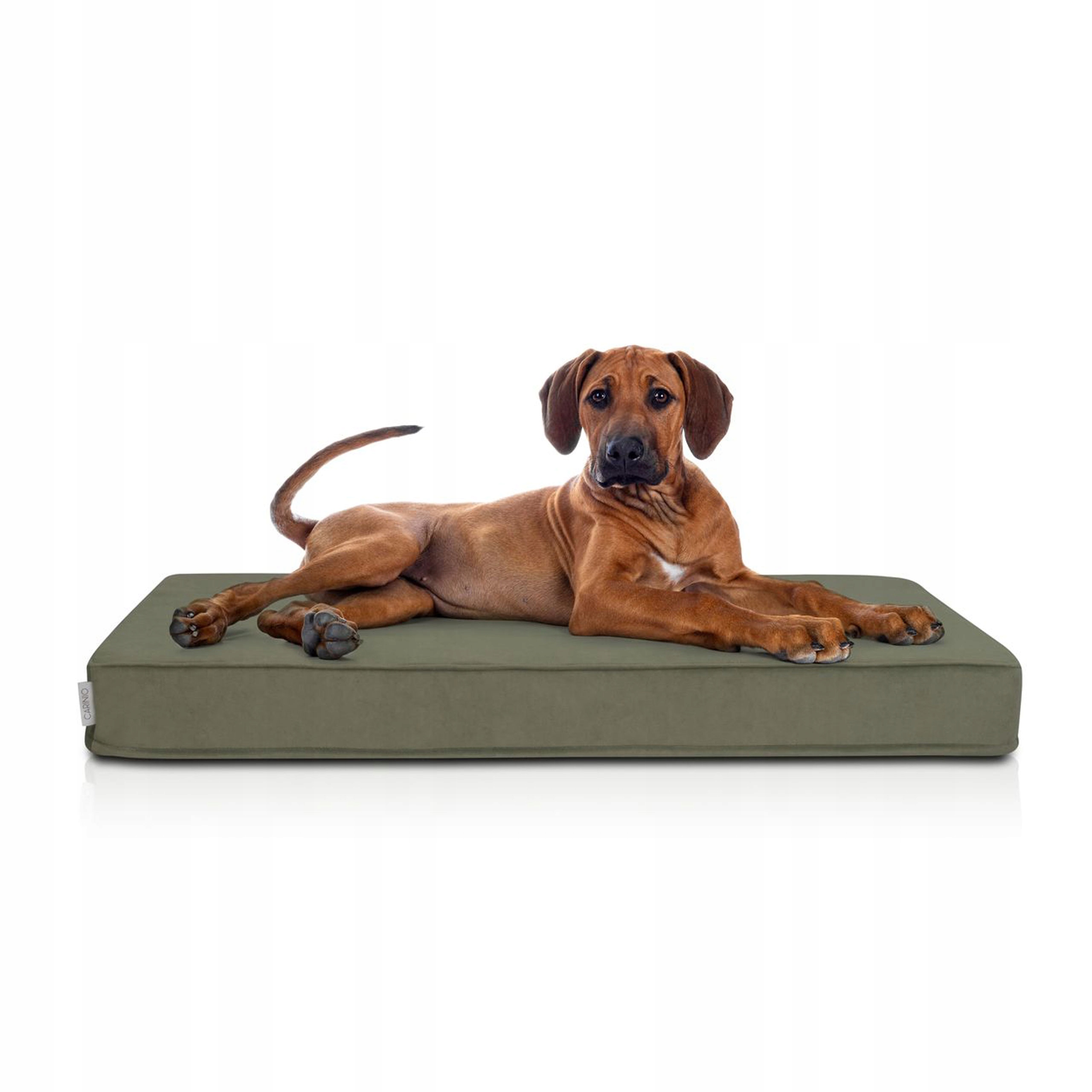 Matrace pro psy Rest Komfortní pružná pěna T25 65 cm x 104 cm