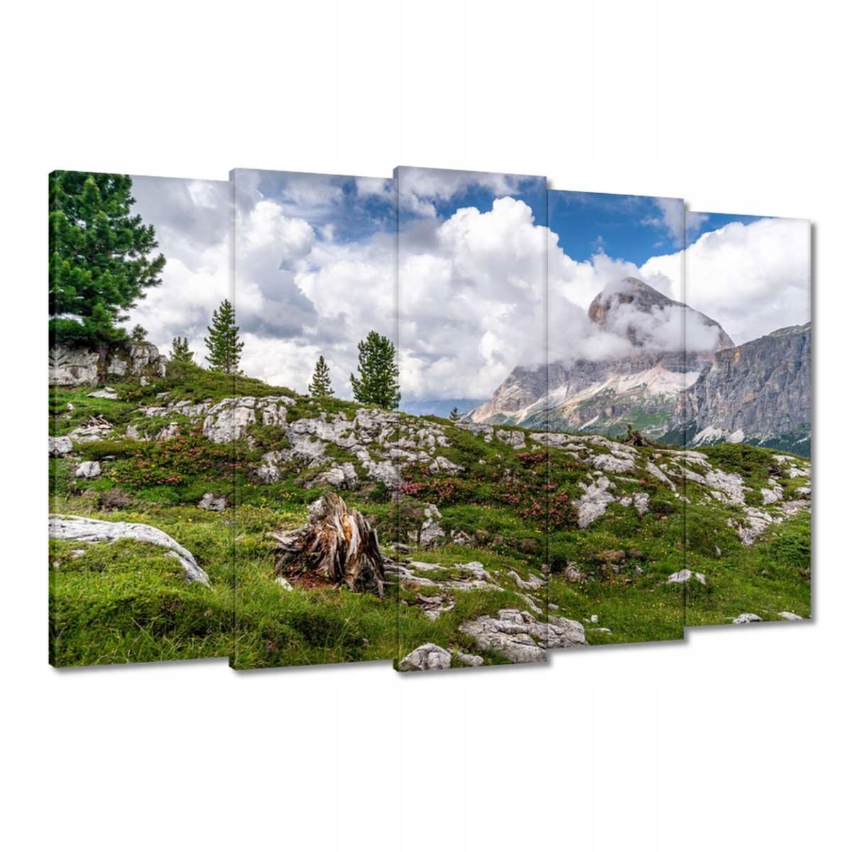 Obrazy 150x95 Horský pohled Krajina