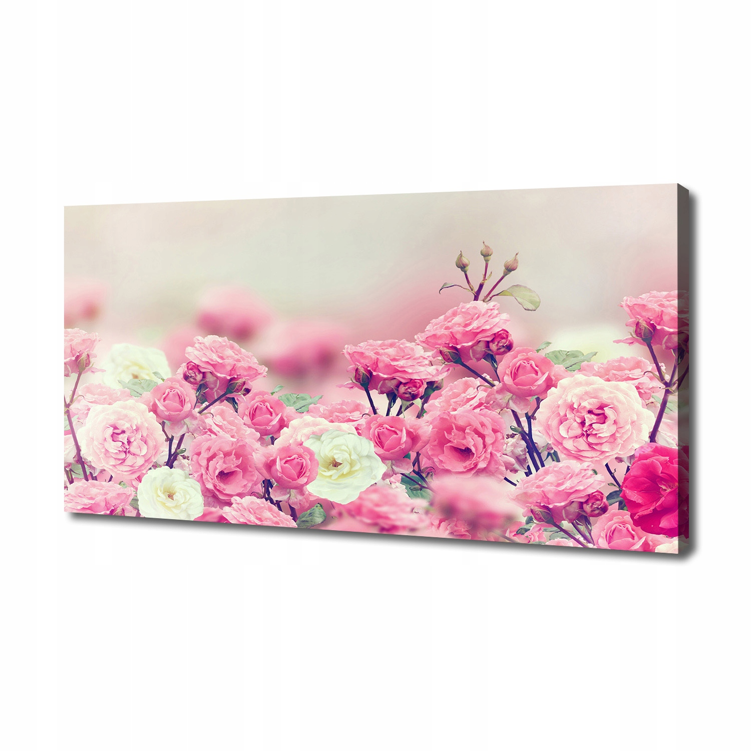 

Foto obraz na płótnie Kwiaty dzikiej róży 140x70cm