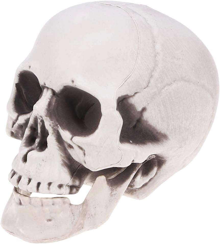 Plastová závěsná kostra. Dekorace kostry pro domácí párty