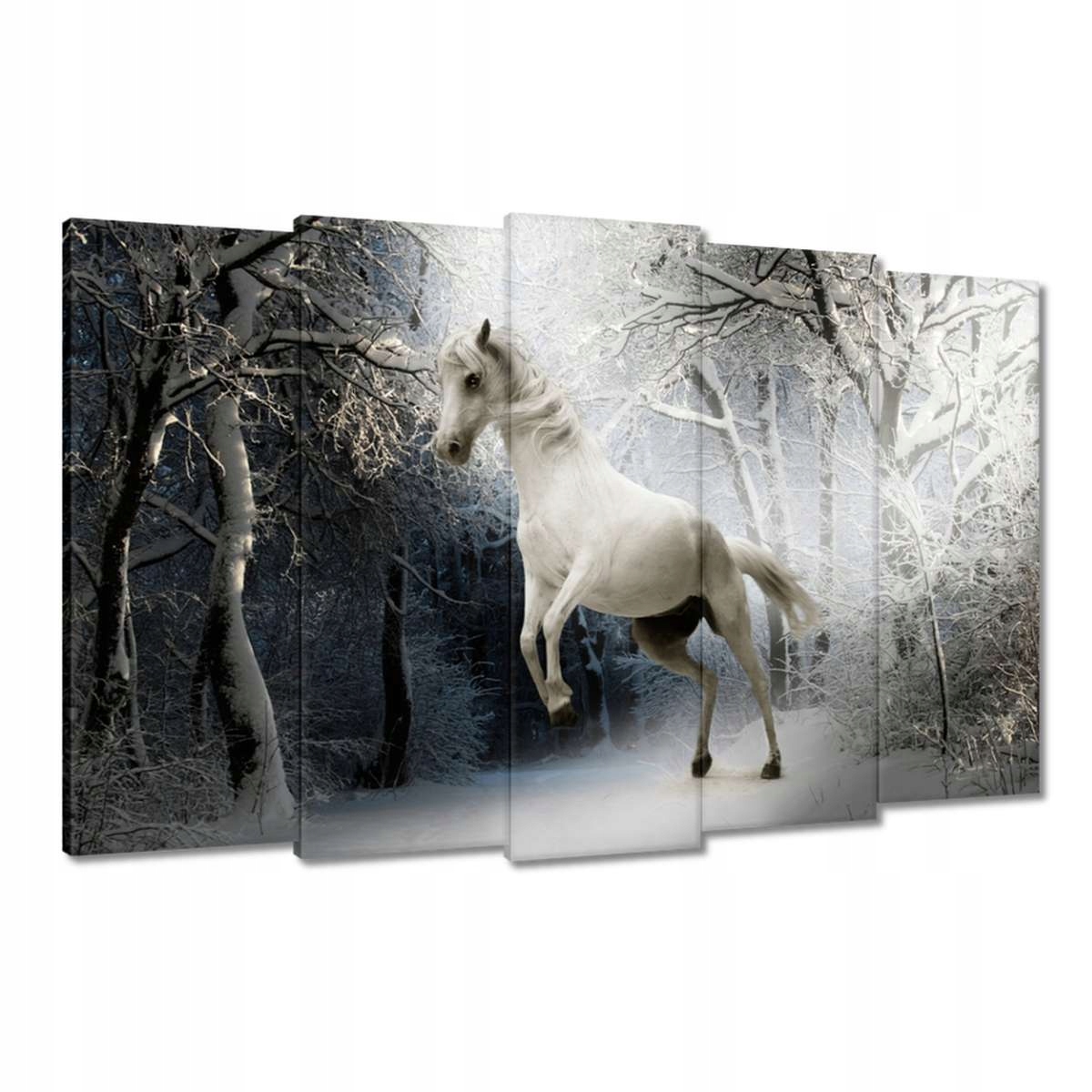 Obrazy 150x95 Bílý rumák