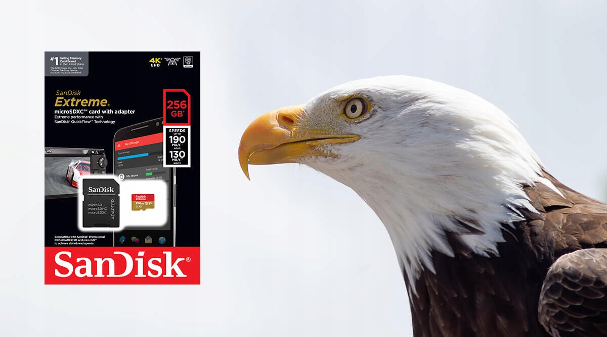 Karta pamięci SANDISK Extreme microSDXC 256GB Format karty microSD