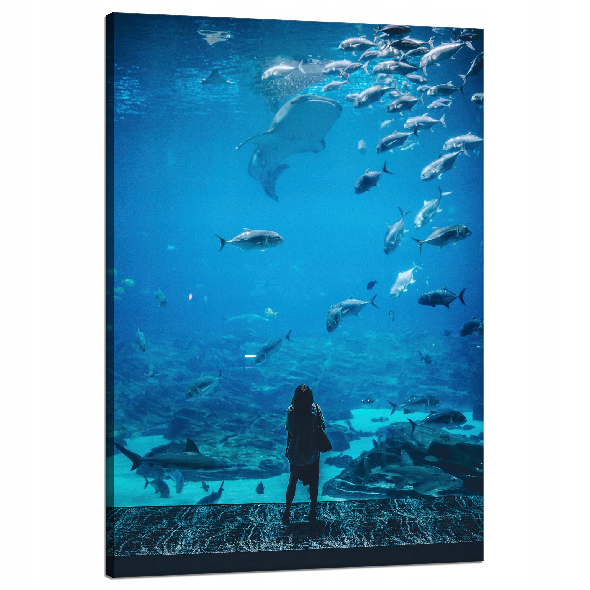Obraz na plátně Lidé Akvárium Voda Mořský oceán Život 80x120 cm