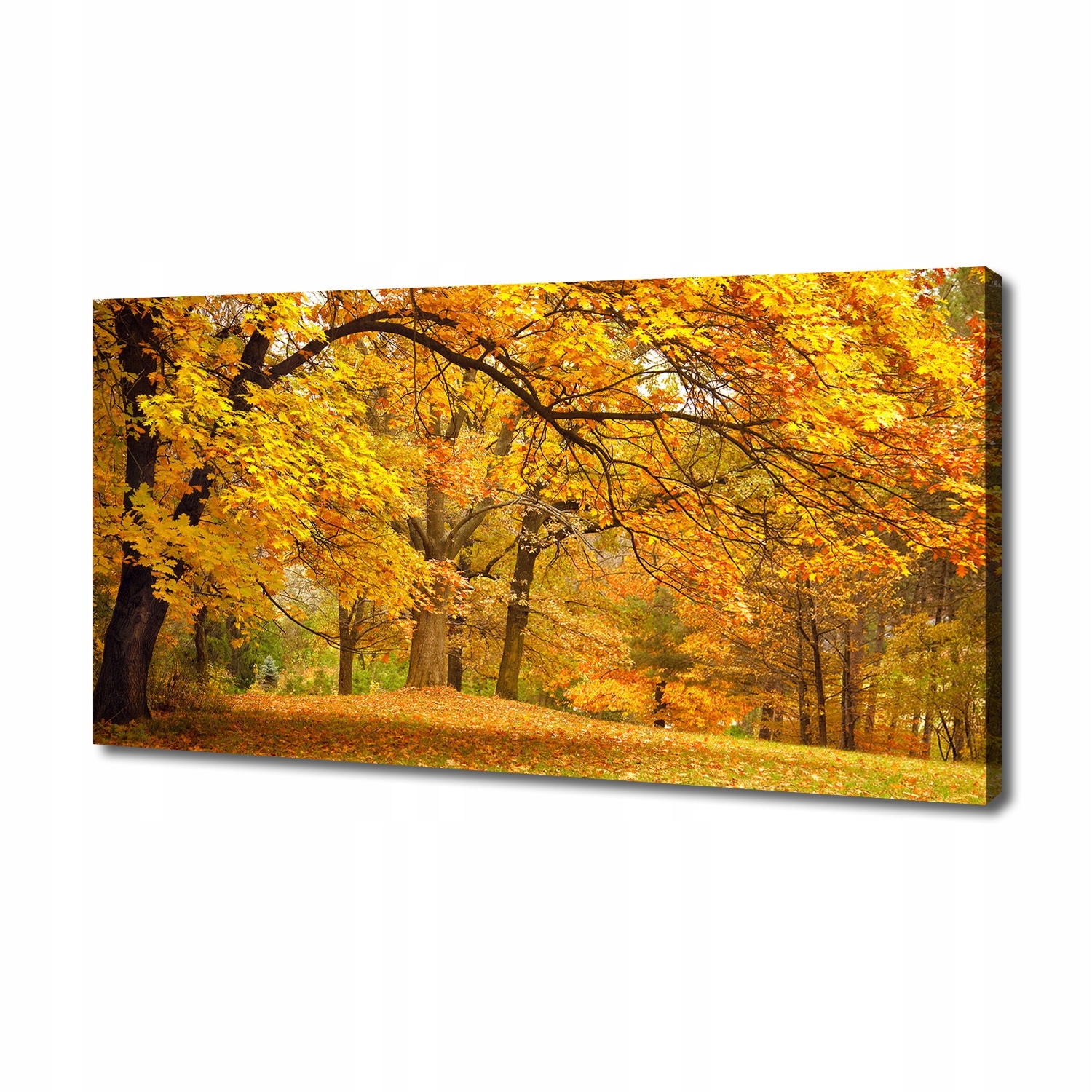 

Foto obraz na płótnie Jesień w parku 140x70 cm