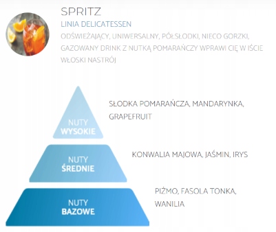 SPRING AIR odświeżacz powietrza SPRITZ 250ml Marka Spring Air
