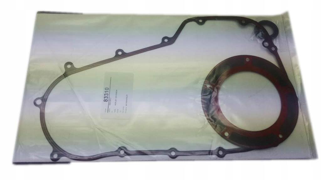 USZCZELKA KAPY HARLEY DAVIDSON 2017 25700378