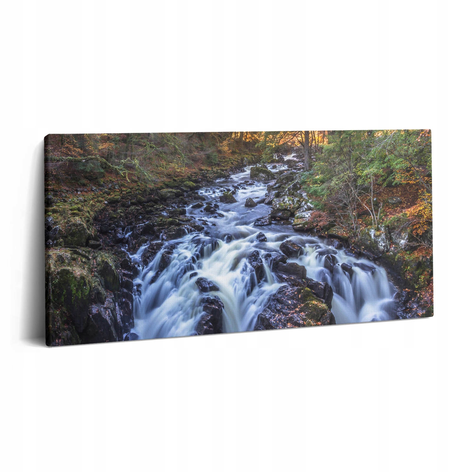Foto Obraz Canvas Nástěnná Dekorace do posilovny Fotografie krajiny řeky