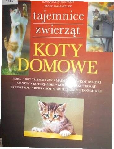Koty domowe - Katarzyna Bulman