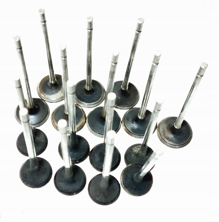 Zawory głowicy Renault 2.0 T Turbo Espace IV Megane II Scenic II Producent części Renault OE