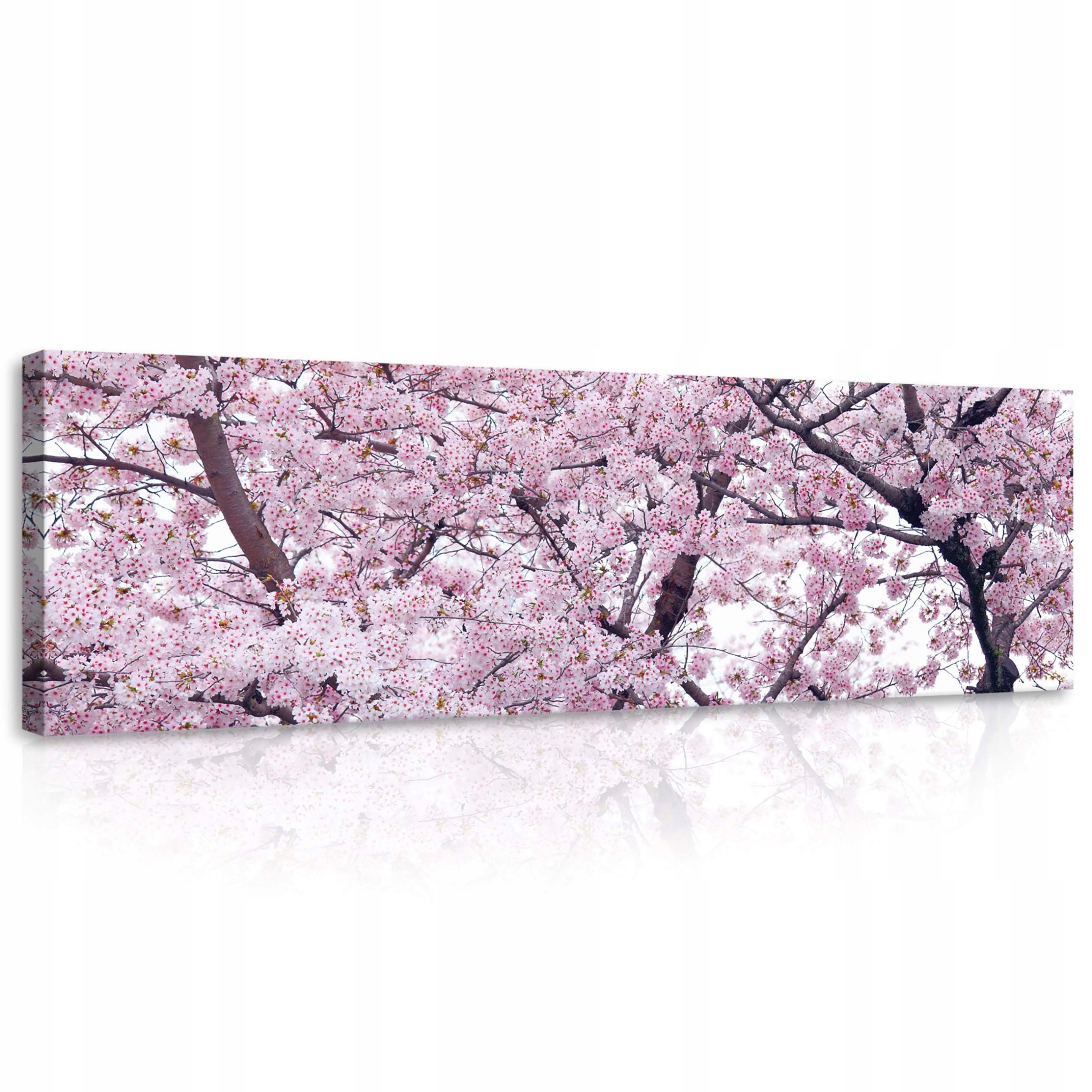 Obraz 145x45 Kvetoucí třešně sakura jaro růžové bílé květy příroda