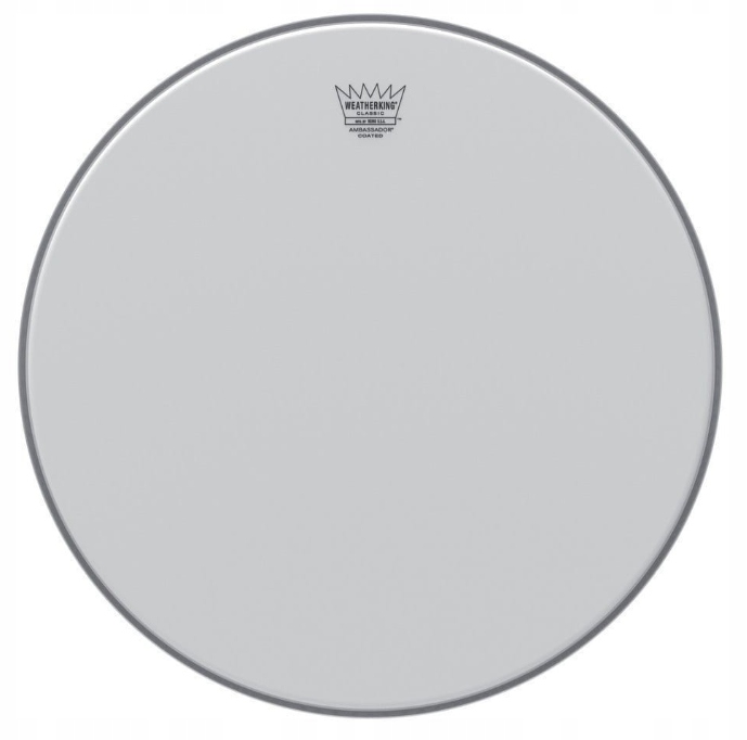 Remo Classic Fit Ambassador potažená baskytara 22"