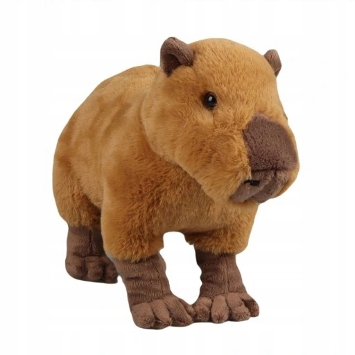 KAPIBARA CAPYBARA MASKOTKA DLA DZIECI 30cm