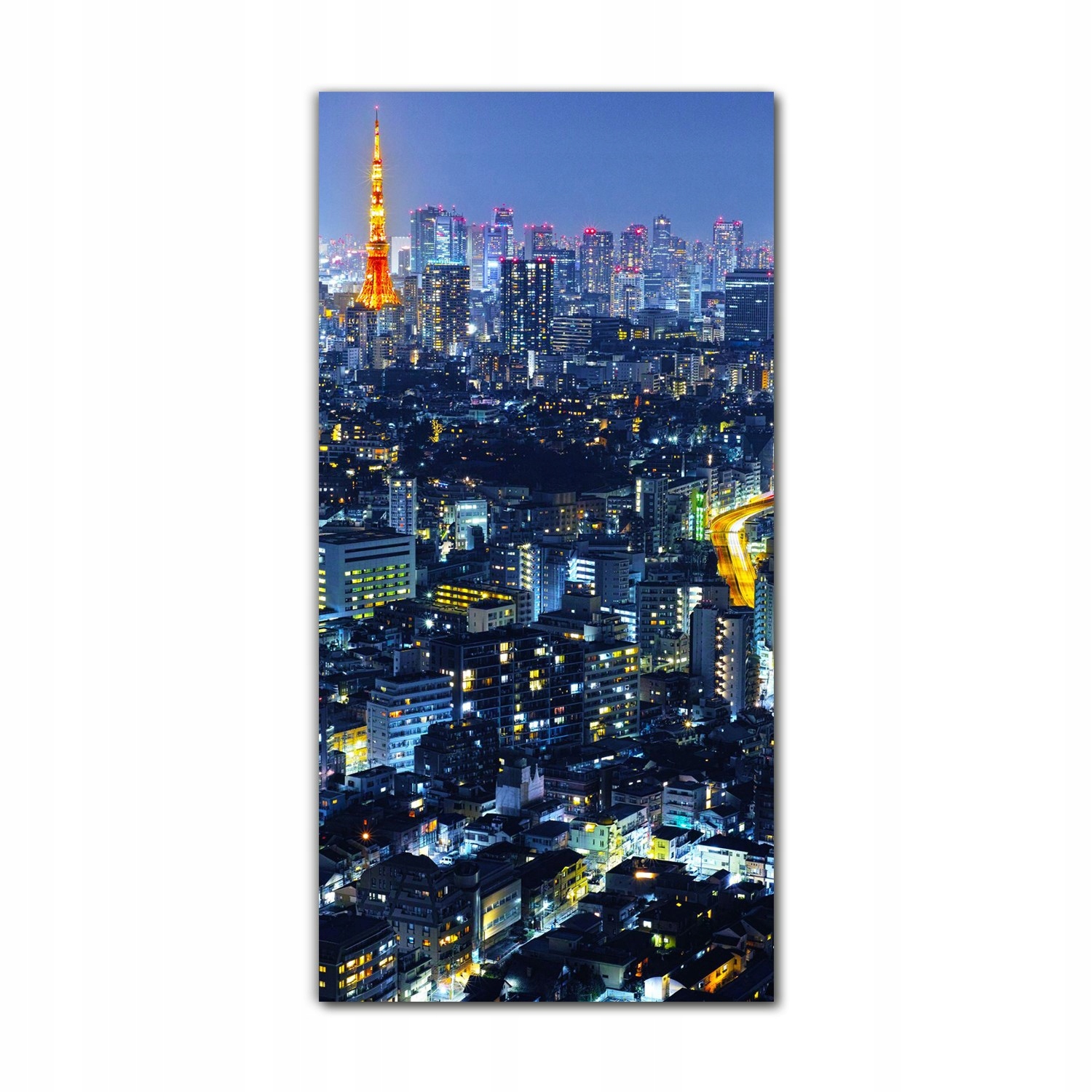 

Foto-obraz ścienny grafika 70x140 Tokio noc miasto