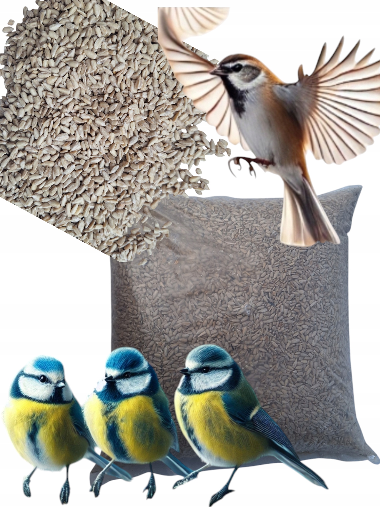 Levně slunečnicová semínka loupaná10 kg krmivo zrno pro divoké ptáky krmítko Bonus Kula