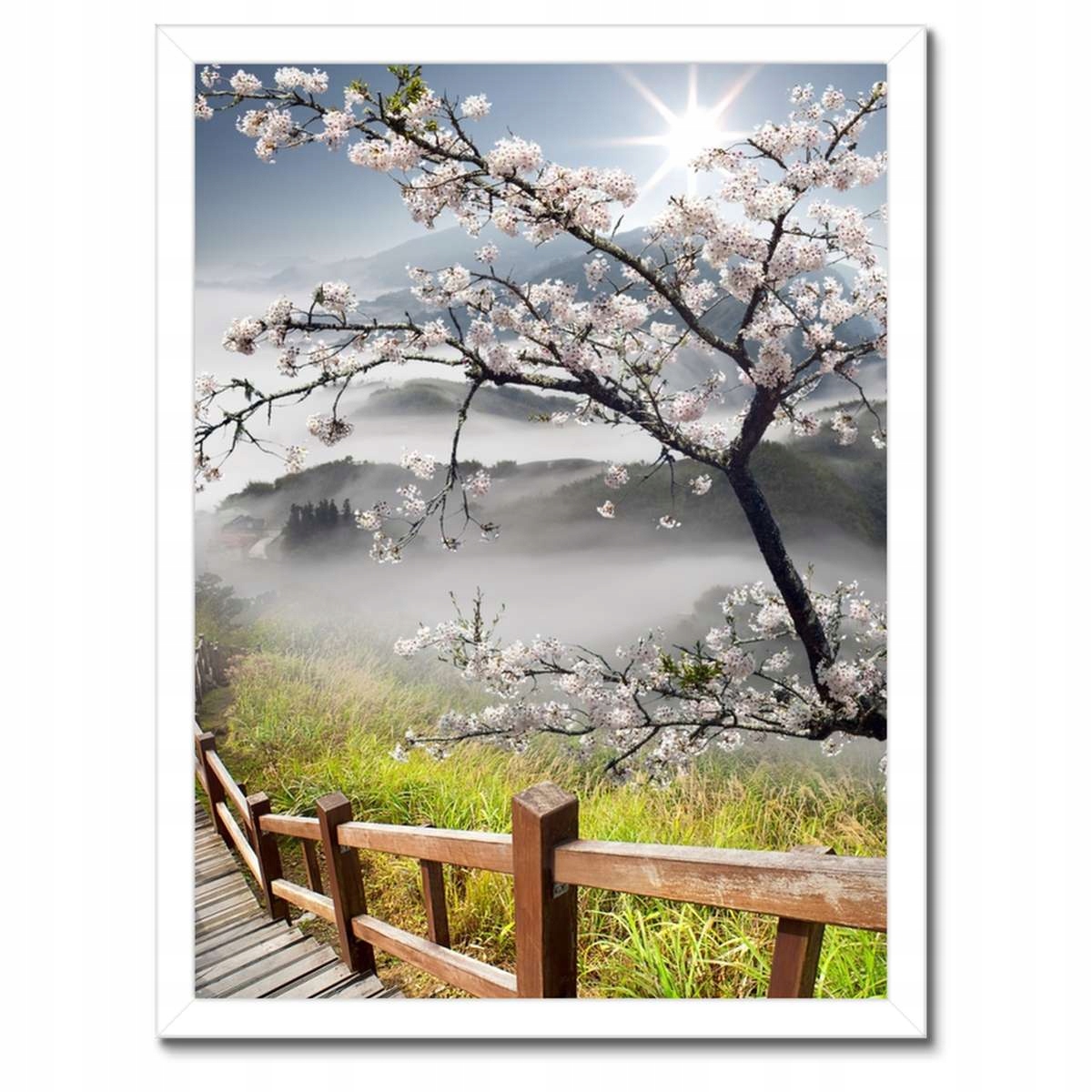 Plakáty v rámu 30x40 Japonsko Kvetoucí višeň