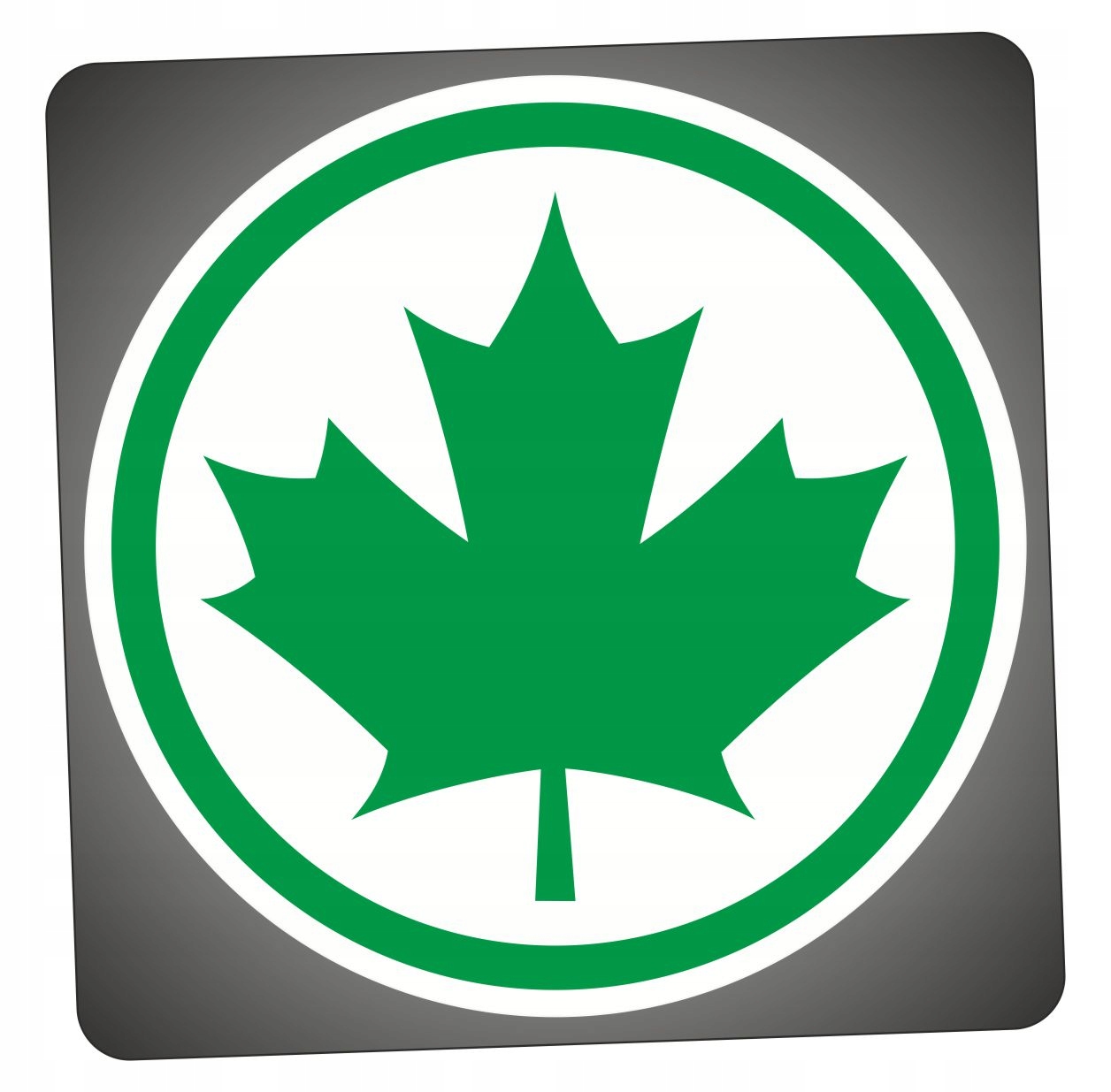 Naklejka Zielony Listek Początkujący Kierowca