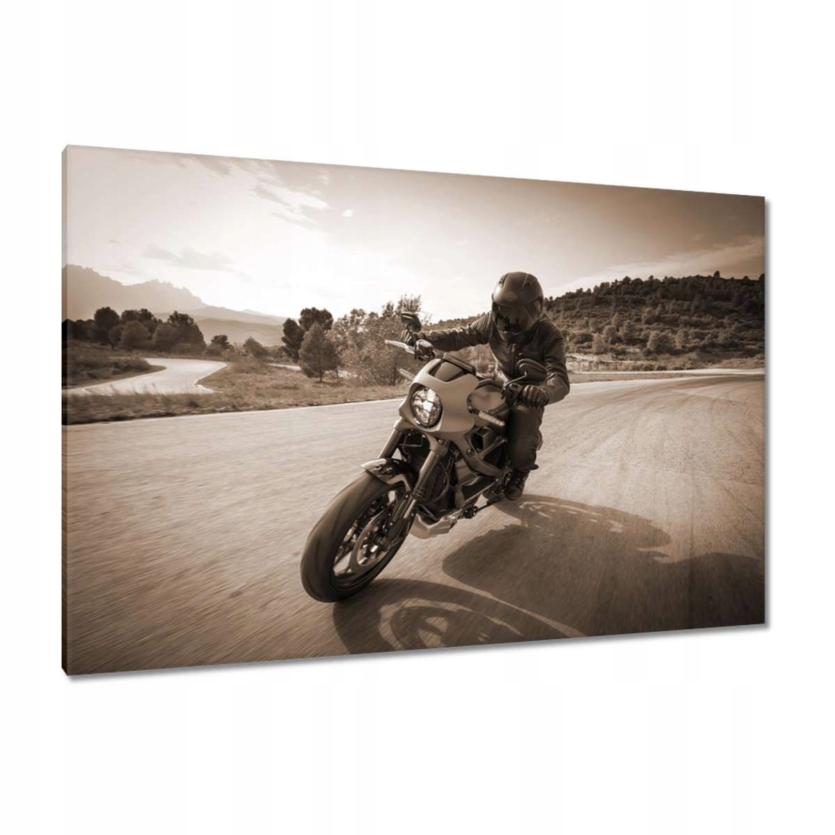 Obrazy 120x80 Harley Davidson Motocykl