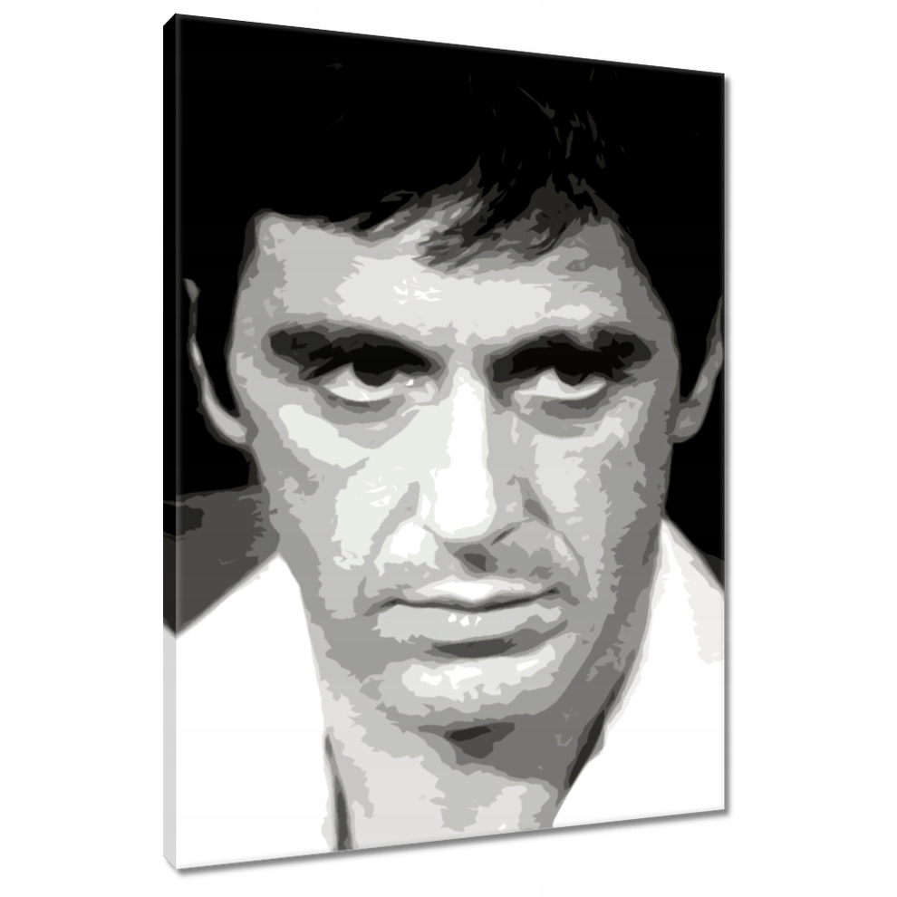 

Obrazy 80x120 The World Is Yours Pacino