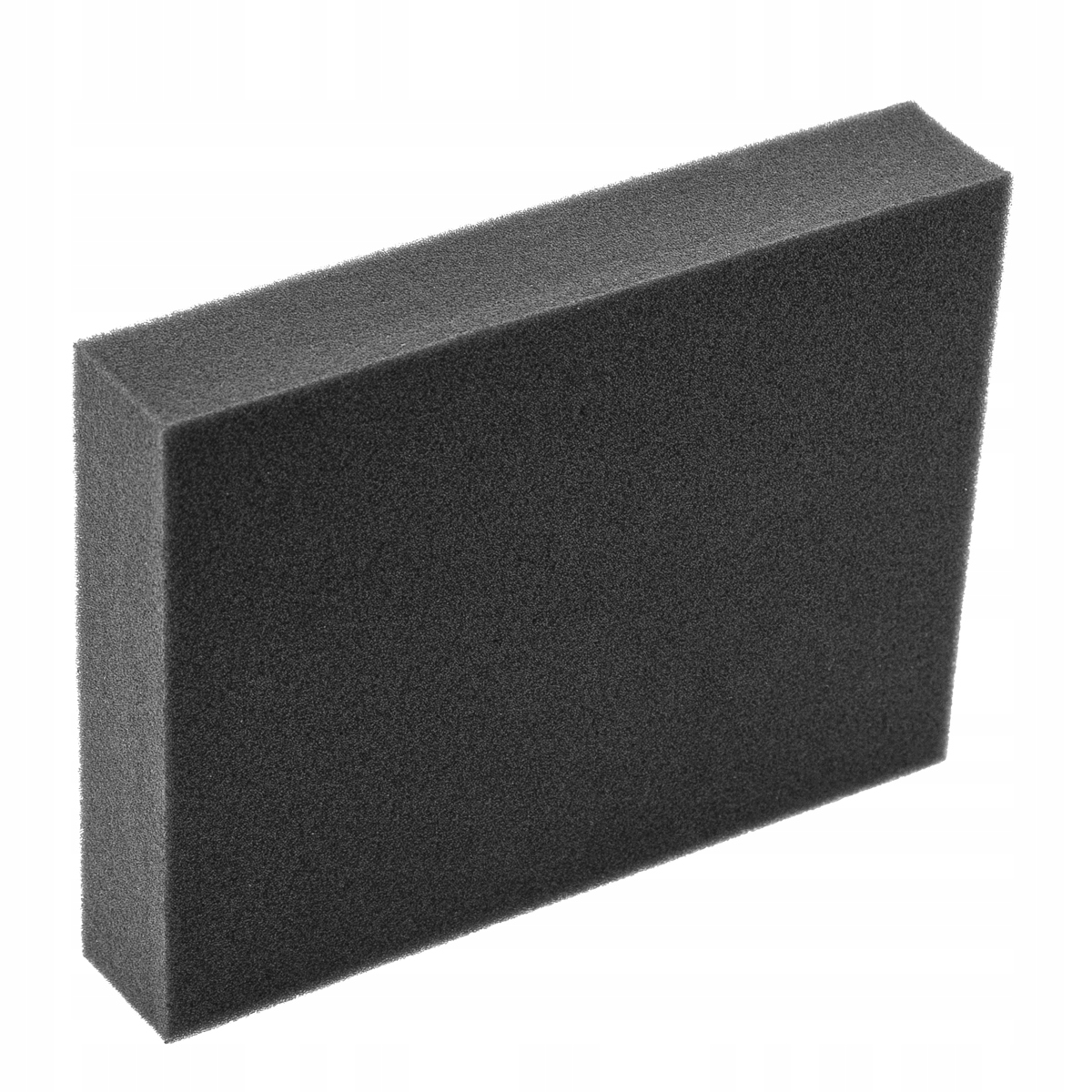 Gąbkowy filtr do odkurzacza AEG ZSPCCLASS Kod producenta Eo 0842B/A