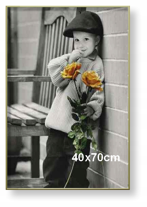 Hliníkový rám pro obraz, fotografii nebo plakát 40x70 cm, zlatý matný