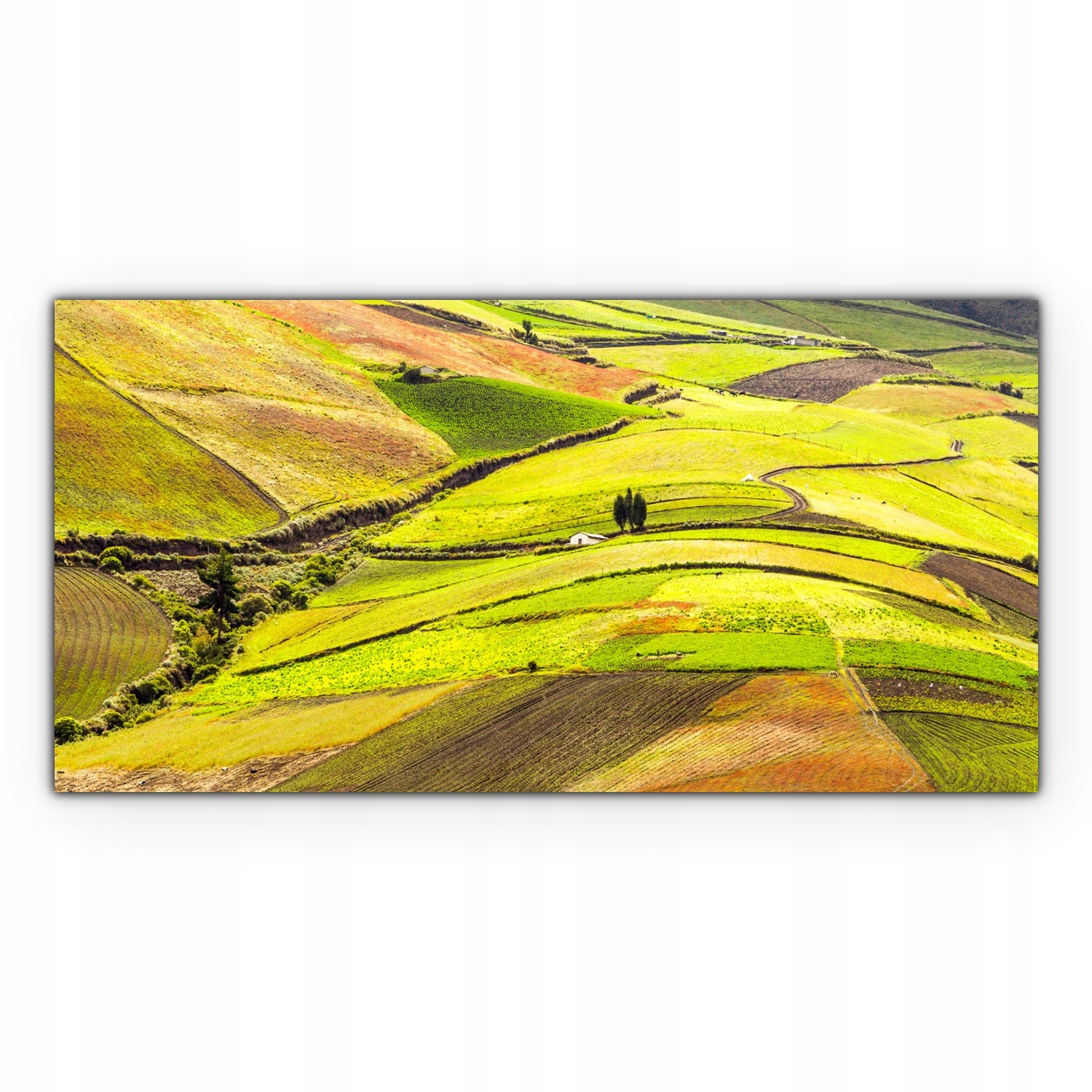 

Canvas na ramie ścienny 100x50 Pole Wieś Krajobraz