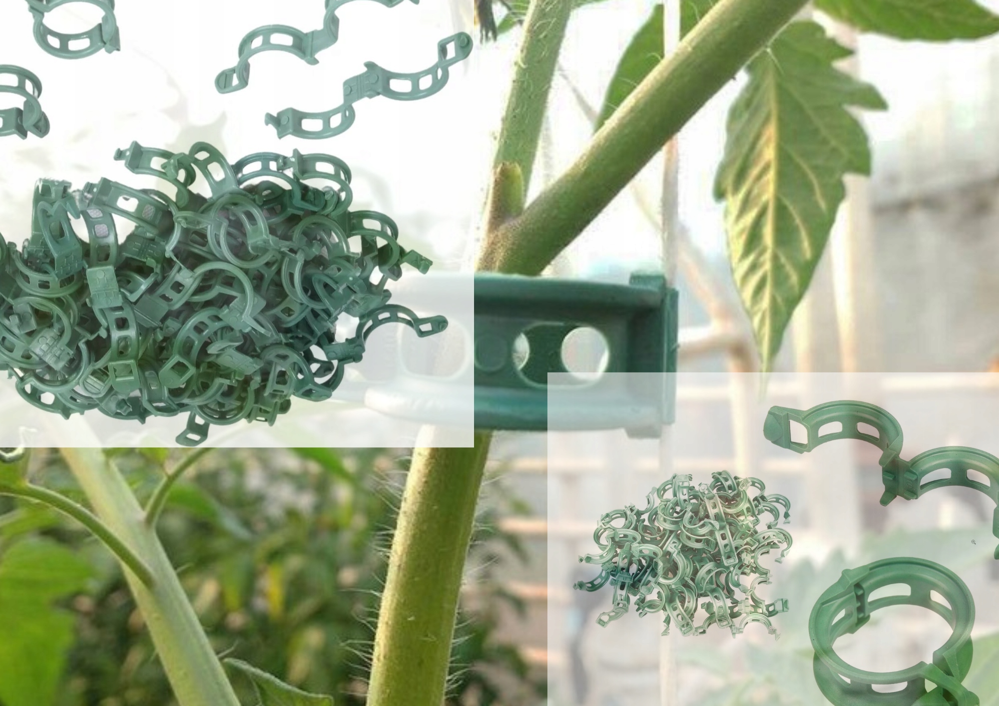 Duży zestaw do uprawy pomidorów Marka bez marki