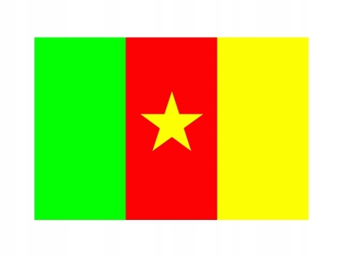 Kamerun - flaga!