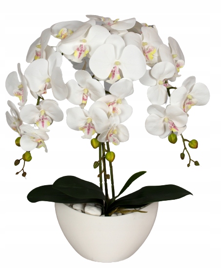 

Storczyk Sztuczny Orchidea Kwiaty Silikonowy