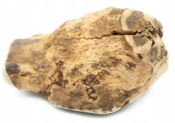 4DOGS Kousátko z kořene vřesového stromu XL