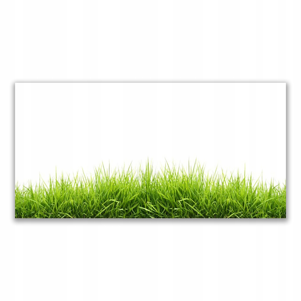 

Obraz akryl na ścianę 120x60 Trawa Natura Roślina