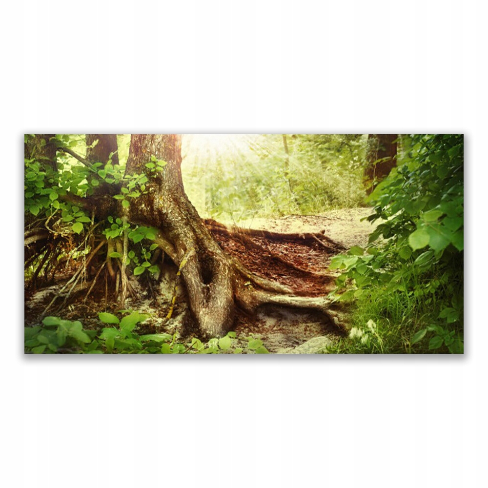 

Obraz akryl wiszący 140x70 Drzewo Pień Natura Las