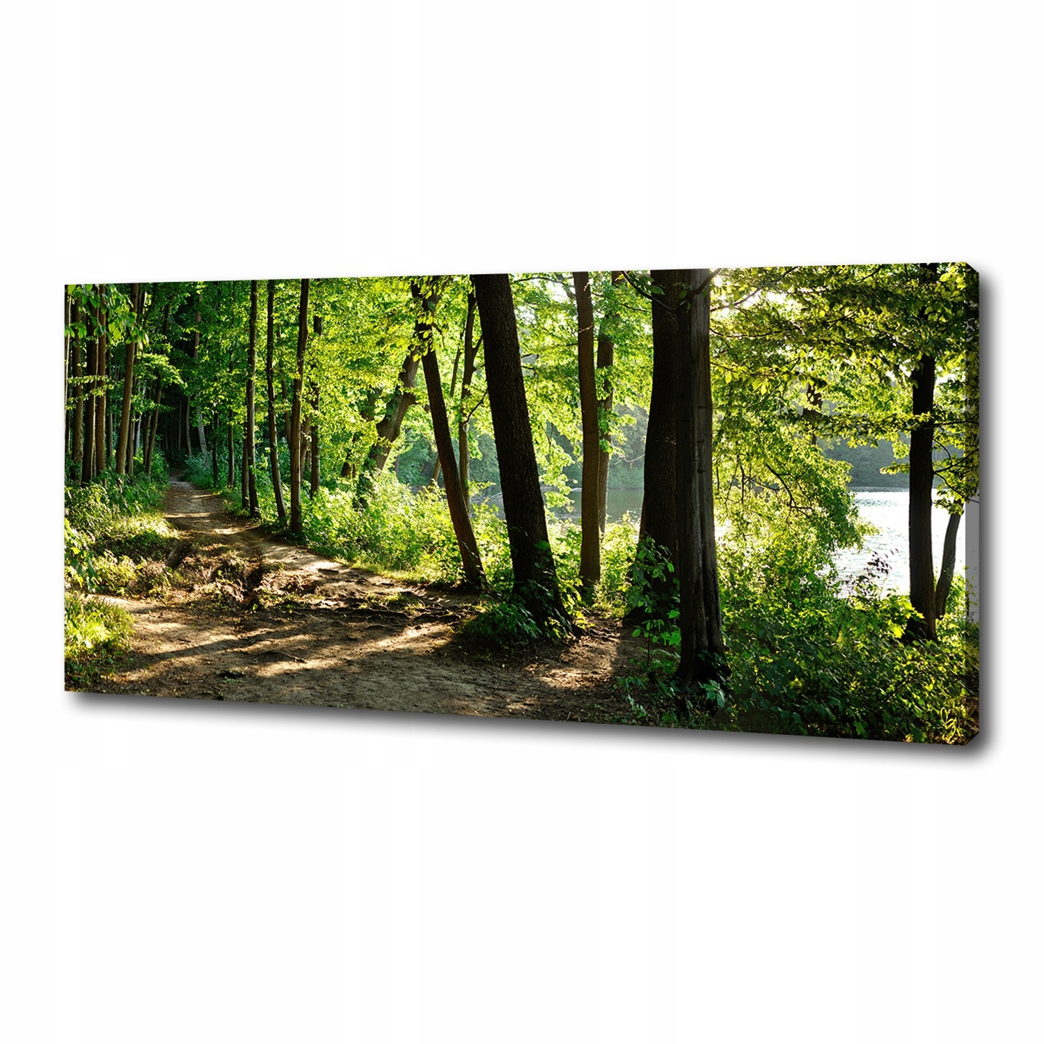 

Foto obraz na płótnie Ścieżka na łące 125x50 cm