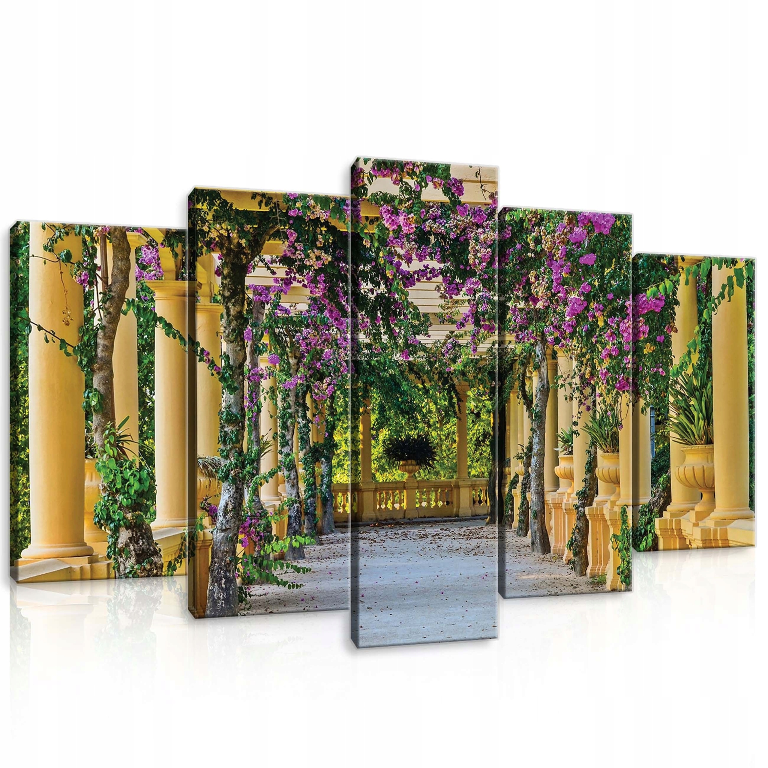 Obraz 100x60 Parková alej sloupy bugenwilla architektura léto slunce