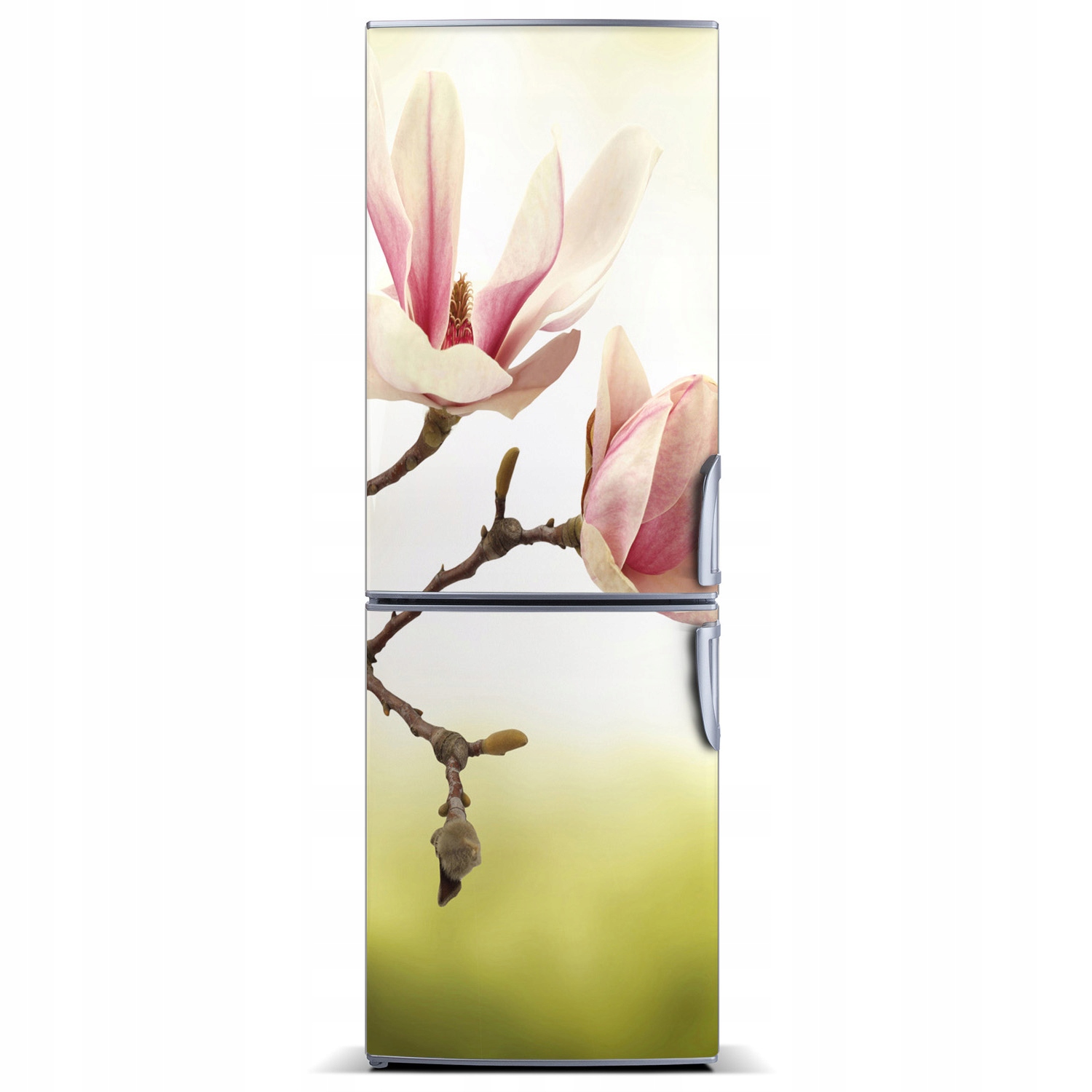 

Naklejka Magnes Magnes Kwiaty magnolii 60x180