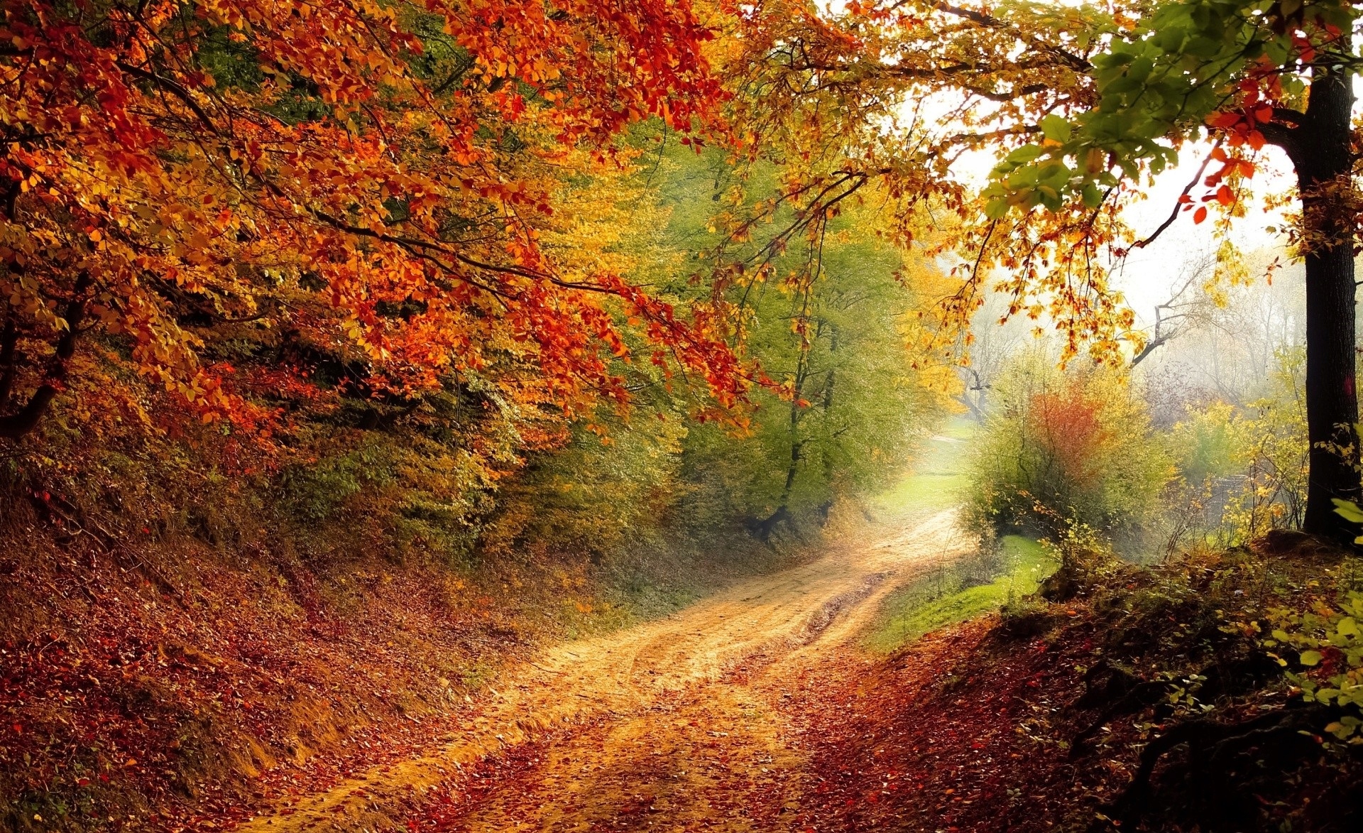 ŚNIEGOWCE BUTY MYŚLIWSKIE WĘDKARSKIE DEMAR TROP Rozm.46 Rozmiar 46