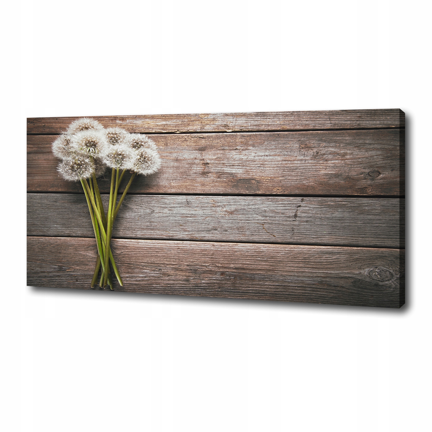 

Foto obraz na płótnie Dmuchawce drewno 125x50 cm
