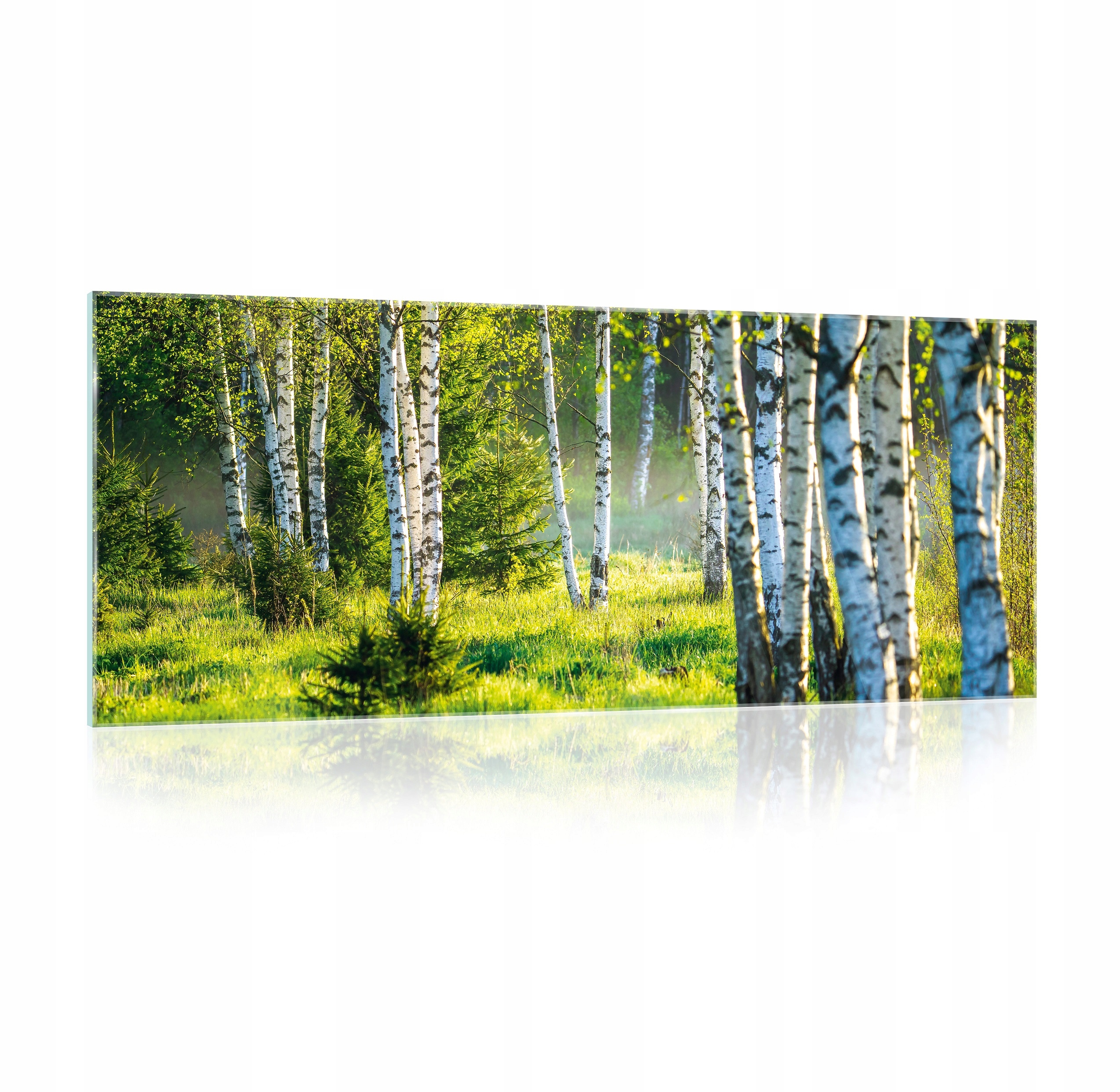 Obraz na skle Sklená krajina Les Príroda 125x50