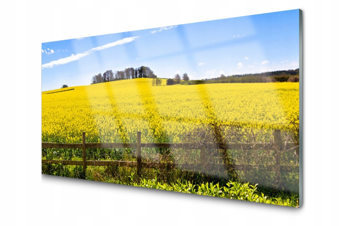 

Panel szklany Płytka Pole Roślina 120x60 + Klej