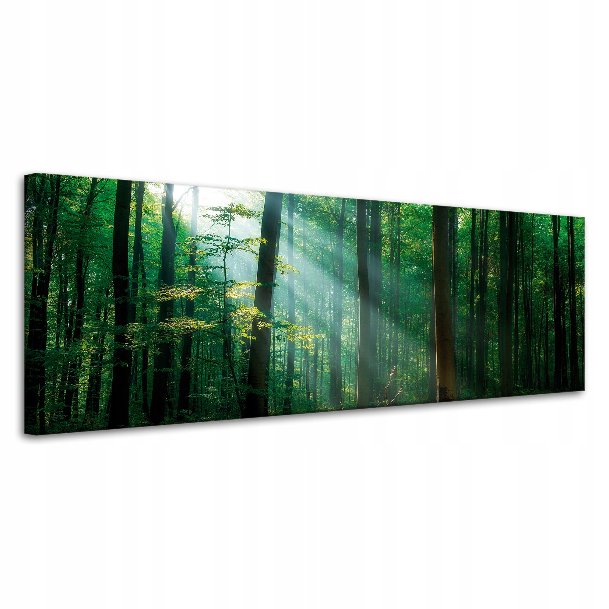 Obraz na plátně Les Stromy Sluneční paprsky 120x40 cm