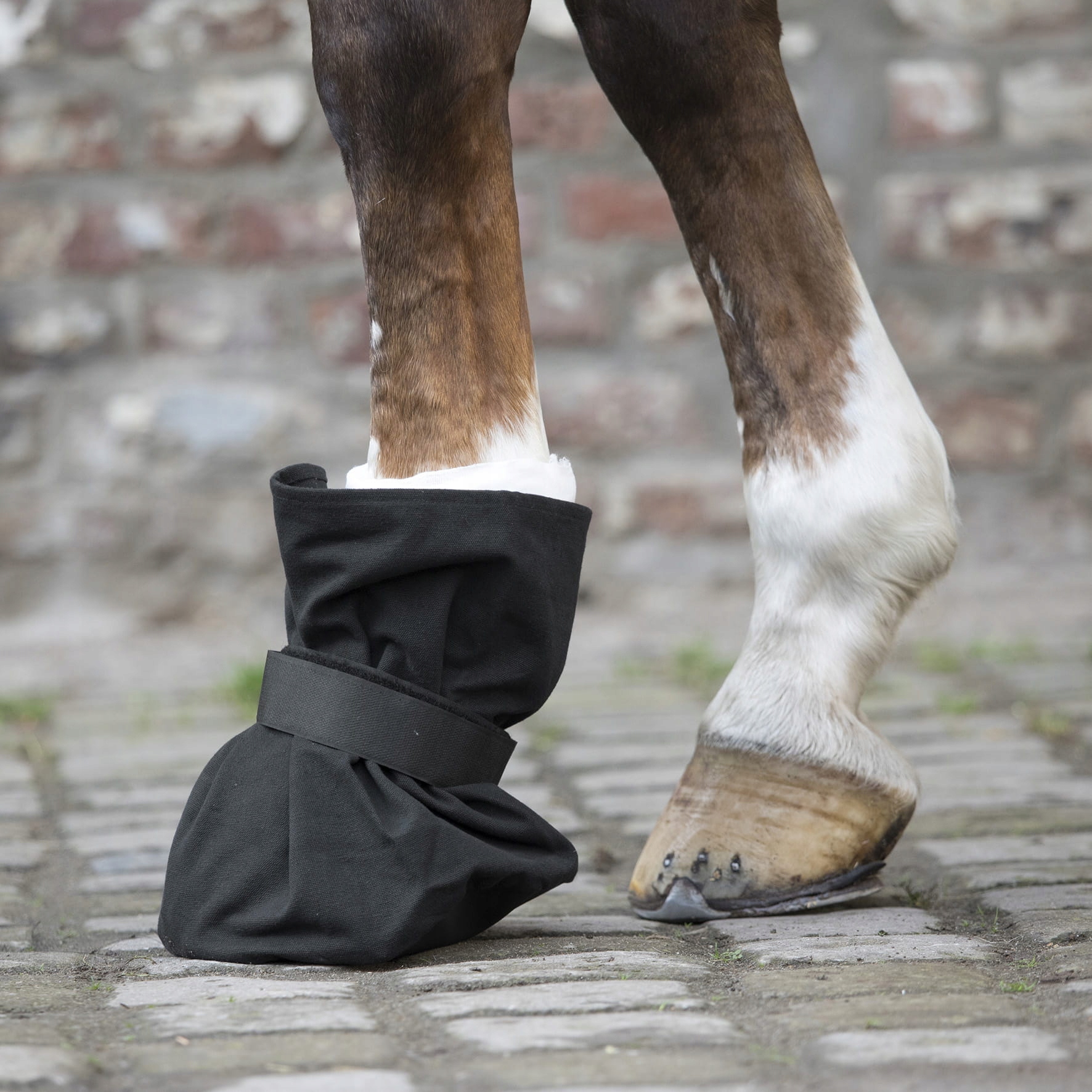 Waldhausen but opatrunkowy na kopyto Pony