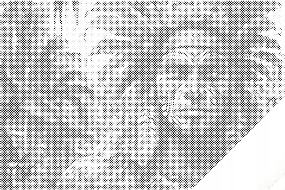 Dotting Painting Indián Džungle Les Muž Velký 80x120 cm