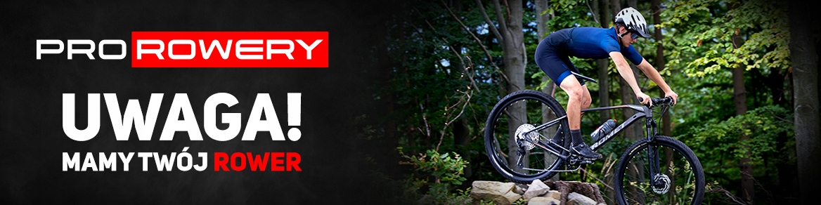 Rower Miejski ROMET VINTAGE CLASSIC D 2022 Model Vintage Classic D