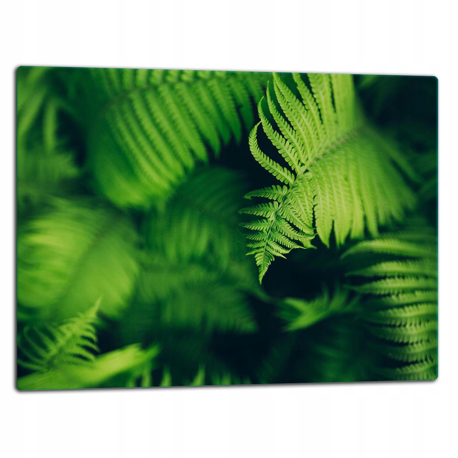 

Szklana Płyta Deska Do Krojenia 52x40 Kwiaty