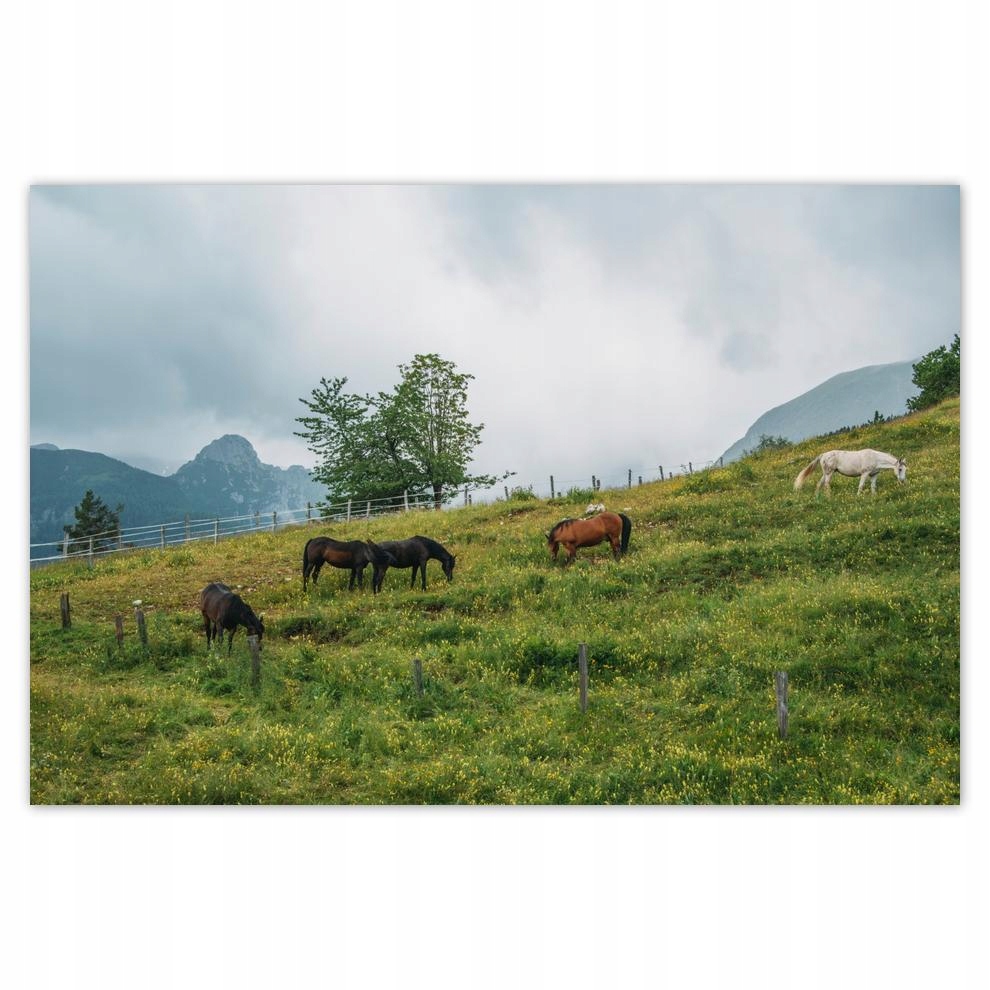 

Plakaty 60x40 Pejzaże Widoki Krajobrazy