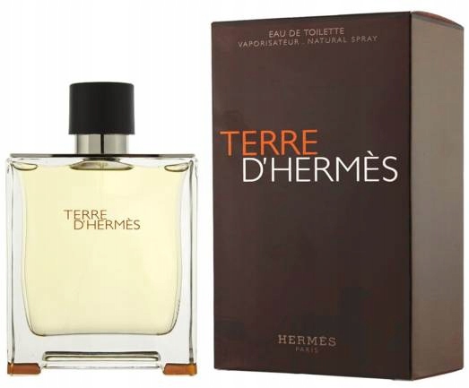Hermes Terre D'Hermes 100 ml Edt Pánská dřevitě-kořeněná vůně