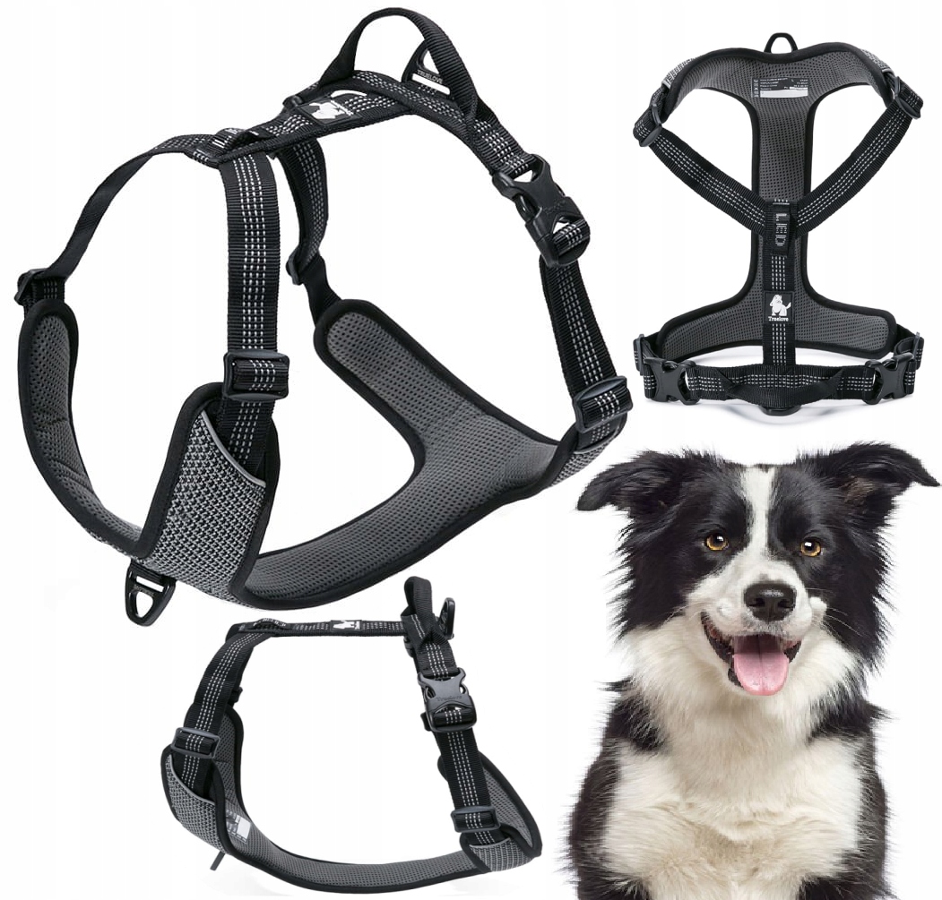 Levně Reflexní Postroj Pro Psa Guard Easy Walk Silný Truelove Lumen Černý M